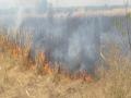 पाटोदा शिवारात शॉर्टसर्किटने चार एकर ऊस जळून खाक - Marathi News | fire in sugarcane farm at patoda | Latest beed News at Lokmat.com