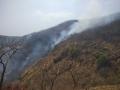 मेळघाटात वणवा पेटला; मडकी खोऱ्यात शंभर हेक्टर जंगल राख - Marathi News | Fire broke out in Melghat; A hundred hectares of forest ash in the valley of Mudki | Latest maharashtra News at Lokmat.com