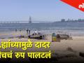 'बीच वारियर्स' ने 90 आठवड्यात असा केला दादर बिचचा कायापालट! - Marathi News | Beach Warriors cleaned dadar beach | Latest mumbai Videos at Lokmat.com