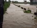 Maharashtra Rain Live Updates : कोल्हापुरात मुसळधार पाऊस; राजाराम बंधारा पाण्याखाली - Marathi News | Maharashtra Rain Live Updates : Mumbai Train, Railway, Road traffic disrupted due to rain | Latest maharashtra News at Lokmat.com