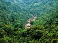 गुजरात ते दिल्लीपर्यंत होणार 1400 किमीची 'ग्रीन वॉल ऑफ इंडिया' - Marathi News | green wall of india will develop from gujarat to delhi border | Latest national News at Lokmat.com