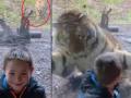 Video: फोटो काढत असताना वाघाने चिमुरड्यावर घेतली झडप अन्... - Marathi News | Video: The tiger was slowly approaching while taking a small boy photo | Latest jarahatke News at Lokmat.com