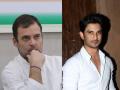 Sushant Singh Rajput Suicide: सुशांतच्या आत्महत्येनंतर राहुल गांधींचं 'ते' ट्विट व्हायरल; पण... - Marathi News | rahul gandhi tribute sushant singh rajput as cricketer fake screenshots viral | Latest national News at Lokmat.com