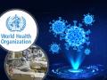 CoronaVirus News : WHO कोरोनाचं उगमस्थान शोधणार, पुढच्या आठवड्यात एक टीम चीनला जाणार - Marathi News | CoronaVirus Marathi News who will find coronavirus birthplace in china next week | Latest international Photos at Lokmat.com