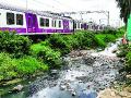 तुंबलेले नाले पाचवीलाच पुजलेले - Marathi News | Not proper Drain cleaning in TMC, KDMC & other Municipal area in Thane district | Latest thane News at Lokmat.com