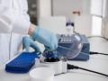 coronavirus: विषाणूच विषाणूला मारणार! कोरोनाच कोविड-१९ ला मारण्यासाठी बळ देणार, समोर आली दिलासा देणारी माहिती - Marathi News | coronavirus: The virus will kill the virus! coronavirus will killed SARS-Cov-2 | Latest international Photos at Lokmat.com