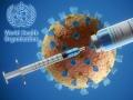 coronavirus: ऑक्सफर्डच्या कोरोना लसीची चाचणी थांबली, WHO कडून अशी प्रतिक्रिया आली - Marathi News | coronavirus: WHO's reaction on Oxford-astrazeneca's corona vaccine test, Said... | Latest international Photos at Lokmat.com