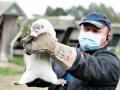 Animals getting infected with COVID-19 due to humans? 10,000 minks die at US farm - Hindi News | Animals getting infected with COVID-19 due to humans? 10,000 minks die at US farm | Latest international Photos at Lokmattimes.com