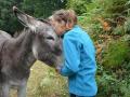 Coronavirus warriors in Spain opt for Donkey Therapy - Hindi News | Coronavirus warriors in Spain opt for Donkey Therapy | Latest international Photos at Lokmattimes.com