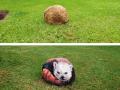 भारीच! पालिकेच्या उद्यानांचे आकर्षण ठरतायेत 'पाषाण चित्रे' - Marathi News | Attractive pictures animals have been drawn on the stones in the three parks at Dahisar | Latest mumbai News at Lokmat.com