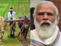 मोदी सरकार "या" योजनेअंतर्गत शेतकऱ्यांना देणार 15 लाख; जाणून घ्या कसा होणार फायदा - Marathi News | farmers in india kisan gets rs 15 lacs what is fpo in agriculture how many fpo are there in india | Latest national News at Lokmat.com