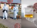 Women drink own urine : OMG! लसीवर भरवसा नाही; म्हणून कोरोनापासून बचावासाठी ती चक्क प्यायली स्वतःचं मुत्र - Marathi News | A women from london drink own urine after reading fake whatsapp text | Latest health News at Lokmat.com