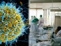 Ebola Virus hidden in human body : तब्बल ५ वर्ष माणसांच्या शरीरात लपून होता हा व्हायरस; आता पुन्हा वेगानं होतंय संक्रमण, ९ रूग्णांचा मृत्यू - Marathi News | Ebola outbreaks : Ebola lingered in survivor for 5 years before new outbreak science | Latest health News at Lokmat.com