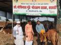 प्राण्यांवरील प्रेमाचे अनोखे उदाहरण; अपघातातून बचावलेल्या गायीचे गोशाळेने केले डोहाळ जेवण - Marathi News | Dohal Jewan for cow made by Goshala A unique example of love for animals | Latest beed News at Lokmat.com