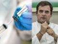 Corona Vaccine : "राहुल गांधींनी अद्याप कोरोना लस का नाही घेतली, की त्यांना घ्यायचीच नाही?", भाजपाचं टीकास्त्र - Marathi News | bjp ravi shankar prasad asks why has congress rahul gandhi not yet taken corona vaccine | Latest politics News at Lokmat.com