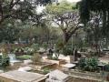 ...अन् टान्झानियन नागरिकावर मुंबईत केले अंत्यसंस्कार! - Marathi News | ... Tanzanian citizen cremated in Mumbai! | Latest mumbai News at Lokmat.com