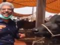 VIDEO: ईद दिवशी पाकिस्तानी पत्रकाराने घेतली म्हशीची मुलाखत, प्रश्नोत्तरं ऐकून हसू आवरता येणार नाही - Marathi News | VIDEO: Pakistani journalist interviews buffalo on Eid day, can't stop laughing after listening to questions and answers | Latest jarahatke News at Lokmat.com