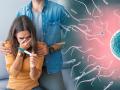 Fertility boost Tips : बेबी प्लॅनिंग करण्याआधी फर्टिलिटी वाढवण्याचा सोपा उपाय; फक्त 'हे' ६ पदार्थ खा - Marathi News | Fertility boost Tips : Health pregnancy foods to boost your fertility easier way to increase fertility | Latest sakhi News at Lokmat.com