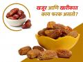 Fresh Dates & Dried Dates : खजूर आणि खारकांमध्ये काय फरक असतो? आजारांना लांब ठेवण्यासाठी काय फायद्याचं ठरतं, जाणून घ्या - Marathi News | Fresh Dates & Dried Dates : Difference between fresh dates and dried dates and know about benefits of chuhare and khajoor | Latest sakhi News at Lokmat.com