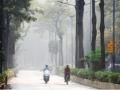 मुंबईची मॉर्निंग : ठंडा ठंडा... कूल कूल...; बहुतांश ठिकाणी कमाल तापमान ३० अंशाखाली - Marathi News | Mumbai Morning: Cold Cold ... Cool Cool ...; Maximum temperature below 30 degrees in most places | Latest mumbai News at Lokmat.com