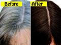 How to get black hair naturally : केस फार पांढरे झालेत? मेहेंदी लावताना फक्त १ गोष्ट मिसळा अन् मिळवा दाट, काळेभोर केस - Marathi News | How to get black hair naturally : Hair care tips benefits of henna mehndi for premature greying hair fall | Latest sakhi News at Lokmat.com