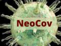 Coronavirus: नियोकोवला घाबरू नका : टास्क फोर्सचे आवाहन - Marathi News | Coronavirus: Don't be afraid of Neocov: Task Force appeal | Latest maharashtra News at Lokmat.com