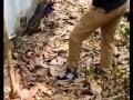 Snake Catching Video : बापरे! महिलेनं देशी जुगाड करत पकडला विषारी साप; व्हिडिओ पाहून तुमचाही उडेल थरकाप - Marathi News | Snake Catching Video : Desi jugaad video woman caught creepy snake seeing ifs officer was also impressed | Latest sakhi News at Lokmat.com