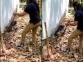 Snake Catching Video : बापरे! महिलेनं देशी जुगाड करत पकडला विषारी साप; व्हिडिओ पाहून तुमचाही उडेल थरकाप - Marathi News | Snake Catching Video : Desi jugaad video woman caught creepy snake seeing ifs officer was also impressed | Latest sakhi News at Lokmat.com