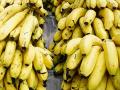 Banana buying guide tips : केळी विकत घेताना फक्त ४ गोष्टी लक्षात ठेवा; तब्येतीला पुरेपूर मिळेल फायदा - Marathi News | Banana buying guide tips : Banana buying guide tips how to pick the best bunch of bananas | Latest sakhi News at Lokmat.com