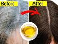 How to white hair turn black naturally : केस फार पांढरे झालेत? काळेभोर केसांसाठी वापरा हे खास तेल; आयुष्यभर काळे राहतील केस - Marathi News | How to white hair turn black naturally : Homemade ridge gourd oil and hair pack for grey hair know how to make it | Latest sakhi News at Lokmat.com