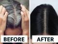 How to get rid with white hairs : पांढरे केस जास्त झालेत? शॅम्पूमध्ये फक्त एक गोष्ट मिसळा; काळ्याभोर केसांचं सोपं सिक्रेट - Marathi News | How to get rid with white hairs : White hair problem home remedy mix tea leaves fenugreek seeds gooseberry amla powder with shampoo | Latest sakhi News at Lokmat.com