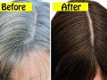 Solution for grey hair : केस खूप पांढरे झालेत? काळेभोर, दाट केस मिळवून देईल हे जादूई तेल; केस पांढरे होणं कायमच होईल बंद - Marathi News | Solution for grey hair : White hair at young age solution mustard oil water curry leaves aloe vera nigella flax seed caraway seeds | Latest sakhi News at Lokmat.com