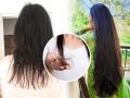 Hair Growth Faster Tips : केस अजिबात वाढत नाहीयेत, तेल, शॅम्पूसुद्धा बदलले? दाट केसांसाठी फक्त १ उपाय, केसांचं गळणं होईल बंद - Marathi News | Hair Growth Faster Tips : Hair growth tips know how to use ice cube for hair | Latest sakhi News at Lokmat.com