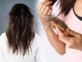 Shahnaz Husain Tips for Hair Growth : उन्हाळ्यात  केसांचं गळणं जास्तच वाढलंय? दाट, लांबसडक केसांसाठी शहनाज हुसैननं सांगितले खास उपाय - Marathi News | Shahnaz Husain Tips for Hair Growth : Shahnaz husain hair care tips to get rid of oily scalp | Latest sakhi News at Lokmat.com