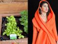 प्रियांका चोप्राने फुलवलंय सुंदर किचन गार्डन! पाहा तिनं बागेत काय काय लावलंय? - Marathi News | Actress Priyanka Chopra shared her photos of kitchen garden, Guess what does she grew? | Latest sakhi News at Lokmat.com