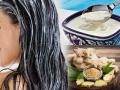 Hair Care Tips: घरात आलं आणि दही आहे? केस झटपट वाढविण्यासाठी हा घ्या सोपा पर्याय, केस वाढतील भरभर - Marathi News | Hair Care Tips: Home remedies for hair growth, hair will become long and strong | Latest sakhi News at Lokmat.com