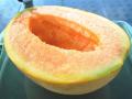 Yubari Melon: हिऱ्यापेक्षा महाग आहे हे फळ, किंमत ऐकून विस्फारतील डोळे - Marathi News | Yubari Melon: This fruit is more expensive than diamonds | Latest jarahatke Photos at Lokmat.com