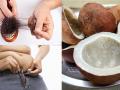 Is Eating Raw Coconut Good For You : केस गळणं थांबवण्यापासून वजन घटवण्यापर्यंत; सुकं खोबरं खाण्याचे 5 फायदे, वाचा आणि आजपासूनच खा! - Marathi News | Is Eating Raw Coconut Good For You : Benefits of coconut here are 5 reasons to eat raw coconut | Latest sakhi News at Lokmat.com