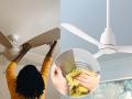 Ceiling Fan Blade Cleaning Hack : ५ मिनिटात साफ होईल पंख्यावर जमा झालेली धूळ; 3 ट्रिक्स, चकचकीत दिसेल घाण झालेला पंखा - Marathi News | Ceiling Fan Blade Cleaning Hack : Easy way to remove sticky dirt from your fan blades  | Latest sakhi News at Lokmat.com
