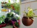 Home Gardening Ideas : नारळाच्या करवंटीपासून करा गार्डन डेकोरेशन; ५ आयडिया, घर-गार्डन दोन्हीही दिसेल आकर्षक, फ्रेश - Marathi News | Home Gardening Ideas : How to make coconut shells planters for balcony | Latest sakhi News at Lokmat.com