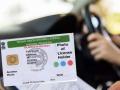 सावधान! देशातील प्रत्येक तिसरं Driving Licence आहे फेक, 'असं' करा झटपट चेक  - Marathi News | whether your Driving Licence is fake every third license in country is fake know how to check | Latest tech News at Lokmat.com