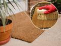 How to clean door mat: कळकट्ट घाणेरडी पायपुसणी घरात आणतात आजार, ५ गोष्टी करा- पायपुसणी चकाचक- स्वच्छ - Marathi News | How to clean door mat properly? Correct method of cleaning door mat  | Latest sakhi News at Lokmat.com