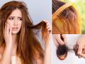 केसांसाठी खास टॉनिक आहेत ६ पदार्थ, रोज खा - झाडूसारखे रखरखीत केसही होतील मऊ- चमकदार - Marathi News | Hair Care Tips: 6 food items that works as a tonic for all hair related problems | Latest sakhi Photos at Lokmat.com