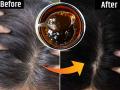 How Stop Gray Hairs Naturally : पांढरे केस कमीच होत नाहीयेत? ३ घरगुती उपाय, म्हातारे होईपर्यंत केस राहतील काळेभोर - Marathi News | How Stop Gray Hairs Naturally : Tips to get rid of the problem of white hair problem solution | Latest sakhi News at Lokmat.com