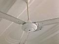 How To Increase The Speed Of A Ceiling Fan : पंख्याचा स्पीड वाढवण्यासाठी ट्रिक्स; वीज बीलही येईल कमी - Marathi News | How To Increase The Speed Of A Ceiling Fan : Easy trick to increase fan speed | Latest sakhi Photos at Lokmat.com
