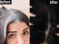 How To Prevent White Hair : कमी वयातच केस खूप पांढरे व्हायला लागले? फक्त ४ सवयी सोडा, कायम काळेभोर राहतील केस - Marathi News | How Can Stop White Hair : Reason for premature white hair at early age 25 years smoking drinking diet tension stress workout | Latest sakhi News at Lokmat.com