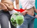 Weight loss Drink: डिटॉक्स, वेटलॉससाठी परफेक्ट ड्रिंक! काकडीची खास स्मूदी.. बघा कशी करायची - Marathi News | Weight loss drink: Perfect drink for detox and weight loss! Special cucumber smoothie .. see how to make it | Latest sakhi News at Lokmat.com