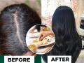  Food For Black Hair : डोक्यावरचे पांढरे केस जास्तच वाढलेत? आजपासूनच ४ पदार्थ खा, काळभोर केस राहतील कायम - Marathi News | Food For Black Hair : Best Foods for Hair Growth | Latest sakhi News at Lokmat.com