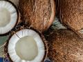 How to Peel Coconut in 2 Minutes : फक्त २ मिनिटांत नारळ फोडण्याची सोपी ट्रिक; नारळ फोडण्याचं अवघड काम होईल एकदम सोपं - Marathi News | How to peel coconut in 2 minutes : Easy Trick to Crack Coconut in Just 2 Minutes; The difficult task of cracking a coconut will become very easy | Latest sakhi Photos at Lokmat.com