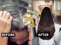 How to Blacken Grey Hair : पांढरे केस खूपच वाढलेत? दाट, लांबसडक केसांसाठी नारळाच्या तेलात ३ पदार्थ मिसळून लावा - Marathi News | How to Blacken Grey Hair : Coconut oil for premature white hair problem treatment mix mehndi and indian amla | Latest sakhi Photos at Lokmat.com